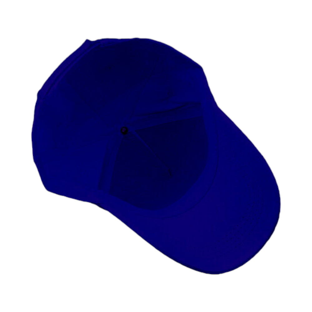 Generic Customized 5-Panel Cap-Blue - Image 4