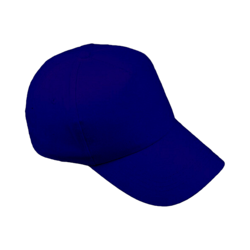 Generic Customized 5-Panel Cap-Blue