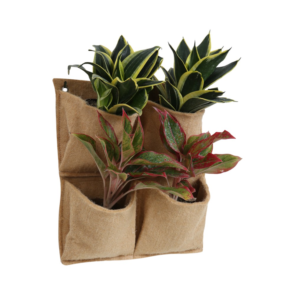 The Quadruple Pocket Package- Natural Brown