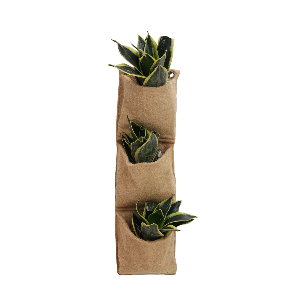 The Triple Pocket Vertical Package- Natural Brown
