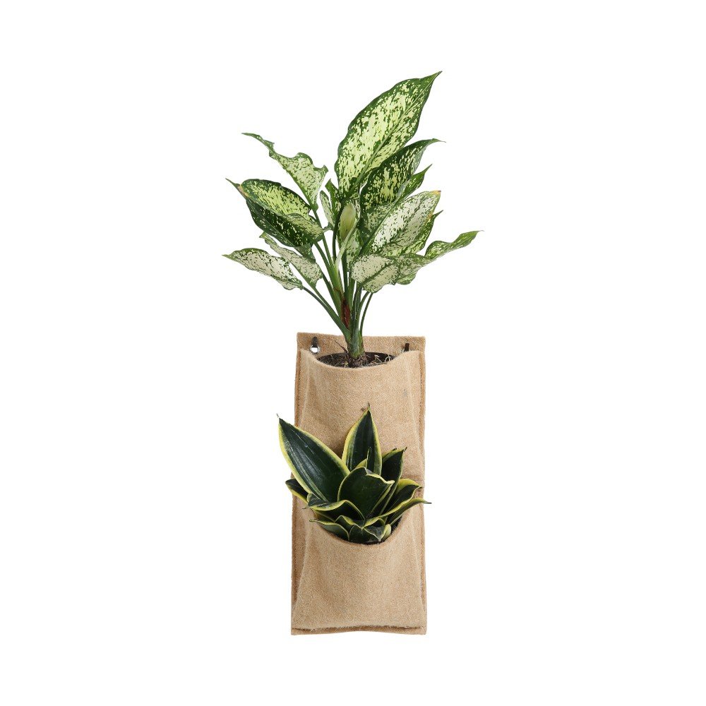 The Double Pocket Vertical Package- Natural Brown - Image 4