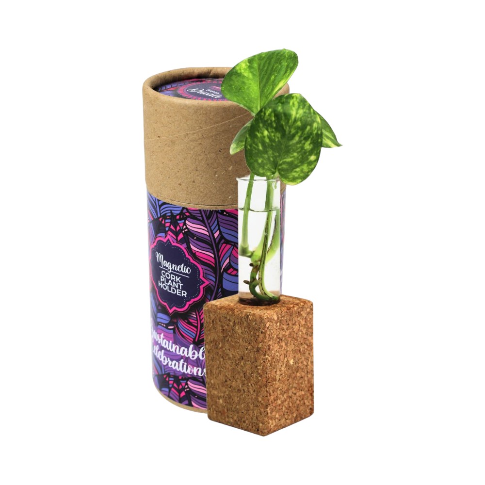Magnetic Cork Planter- Natural Brown - Image 6