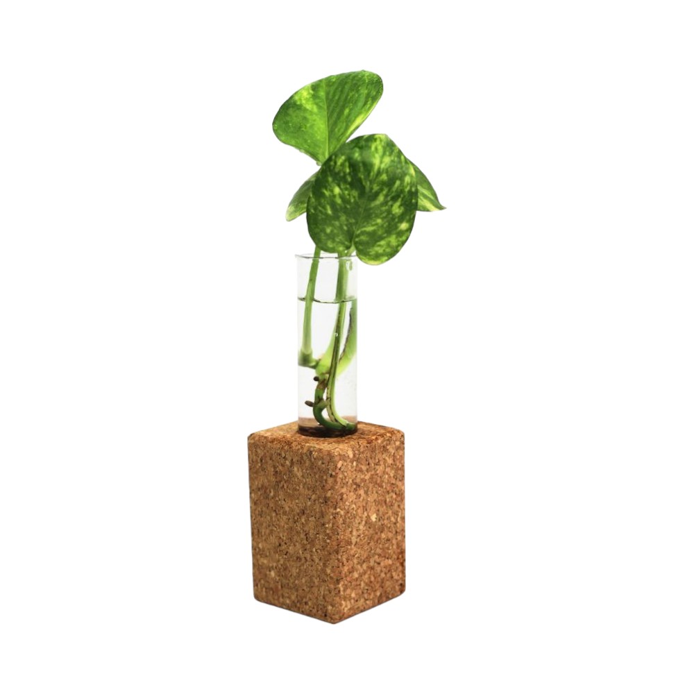 Magnetic Cork Planter- Natural Brown - Image 4