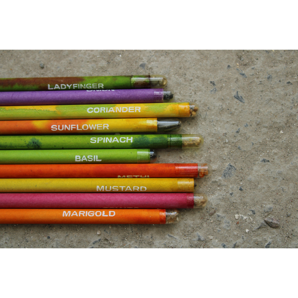 Garden Seed Pencil Set : 12pc - Image 7