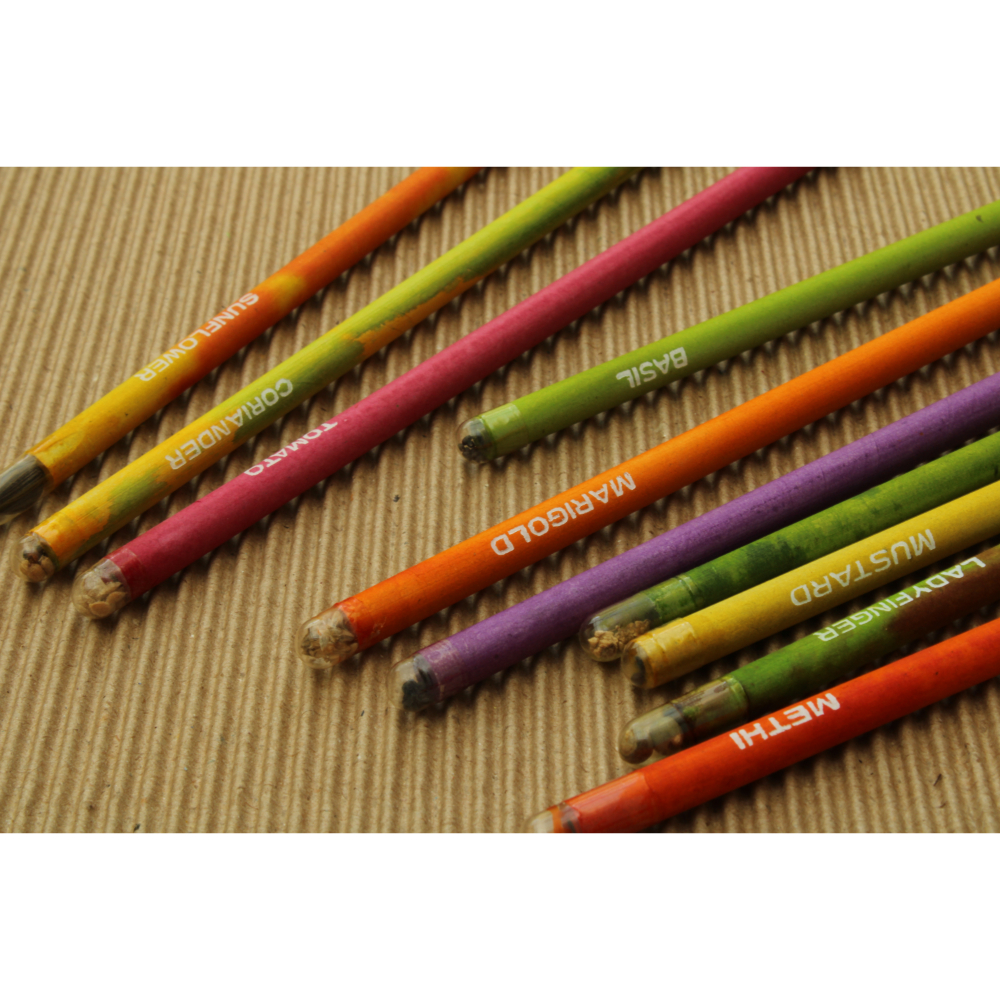 Garden Seed Pencil Set : 12pc - Image 5